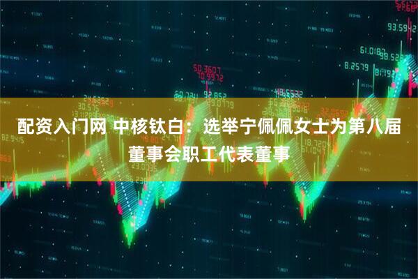 配资入门网 中核钛白：选举宁佩佩女士为第八届董事会职工代表董事