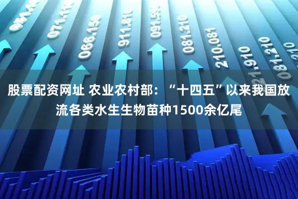 股票配资网址 农业农村部：“十四五”以来我国放流各类水生生物苗种1500余亿尾